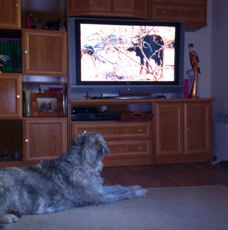 noa-viendo-la-tele