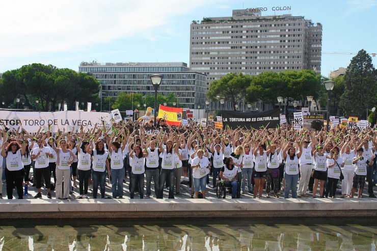 Manifestación contra toro vega 2009