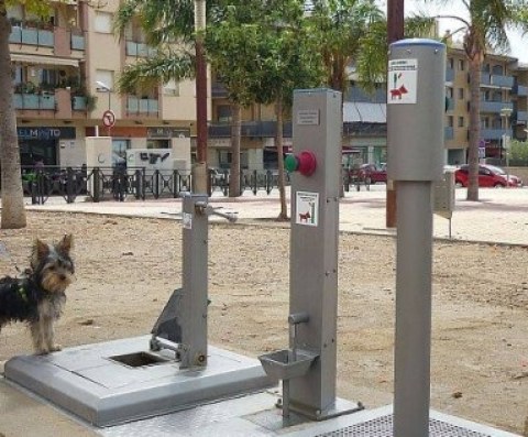 Inodoro perros
