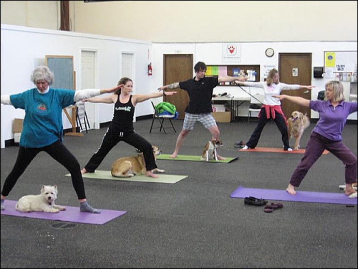 doga yoga perros 1