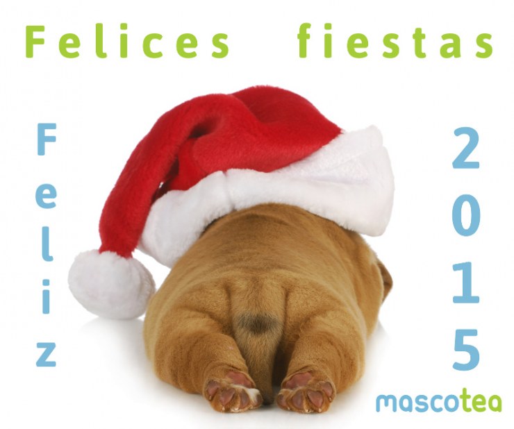 Felicitacion Mascotea 2015