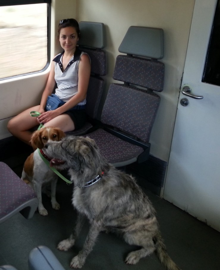 viajar-en-tren-con-mascotas