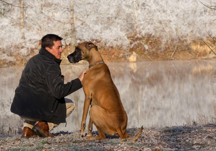 comunicacion-con-tu-perro