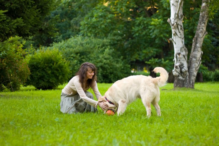 jugando-con-tu-mascota