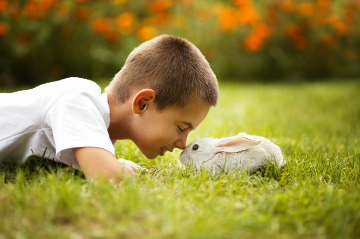 nino-jugando-con-conejo
