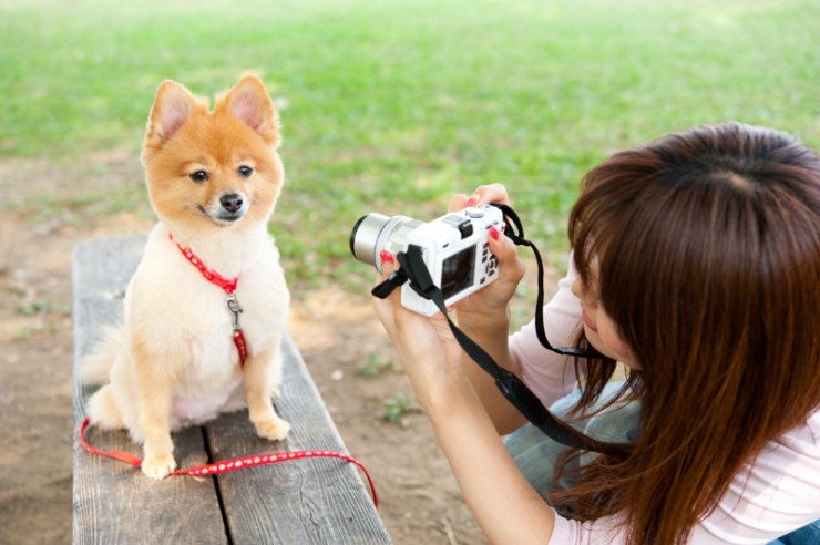 fotografiar-a-tu-perro