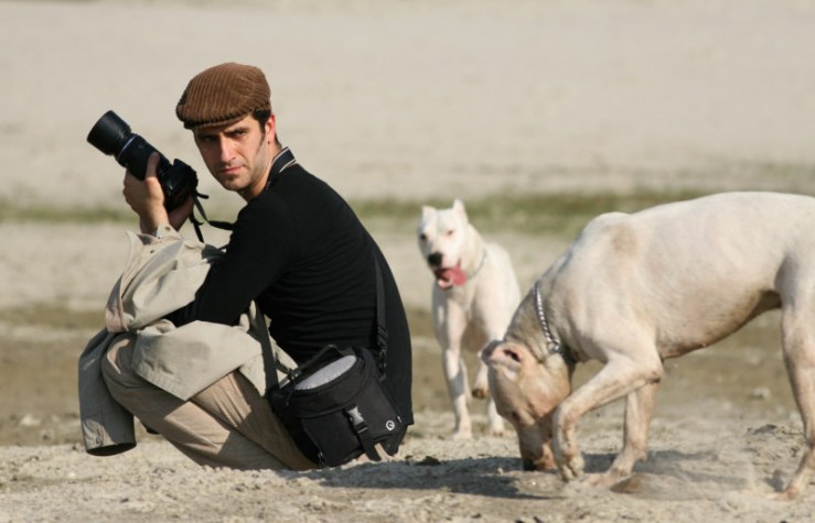 fotografo-de-perros