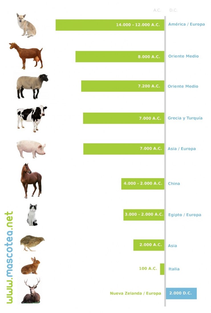 cronologia-de-la-domesticacion