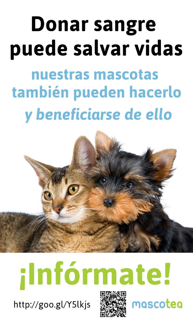 donacion-de-sangre-de-mascotas