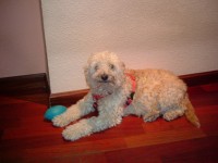 Patricia