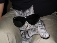 User name avatar